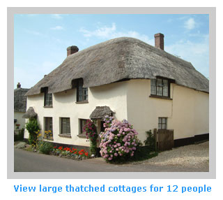large thatched cottages to sleep 12