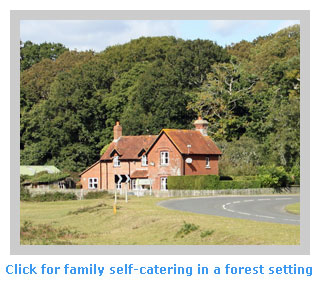family self catering holidays in a forest setting
